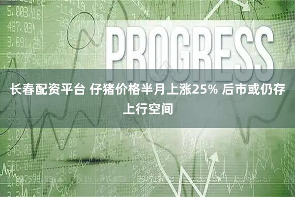 长春配资平台 仔猪价格半月上涨25% 后市或仍存上行空间