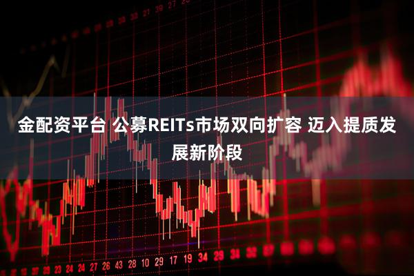 金配资平台 公募REITs市场双向扩容 迈入提质发展新阶段